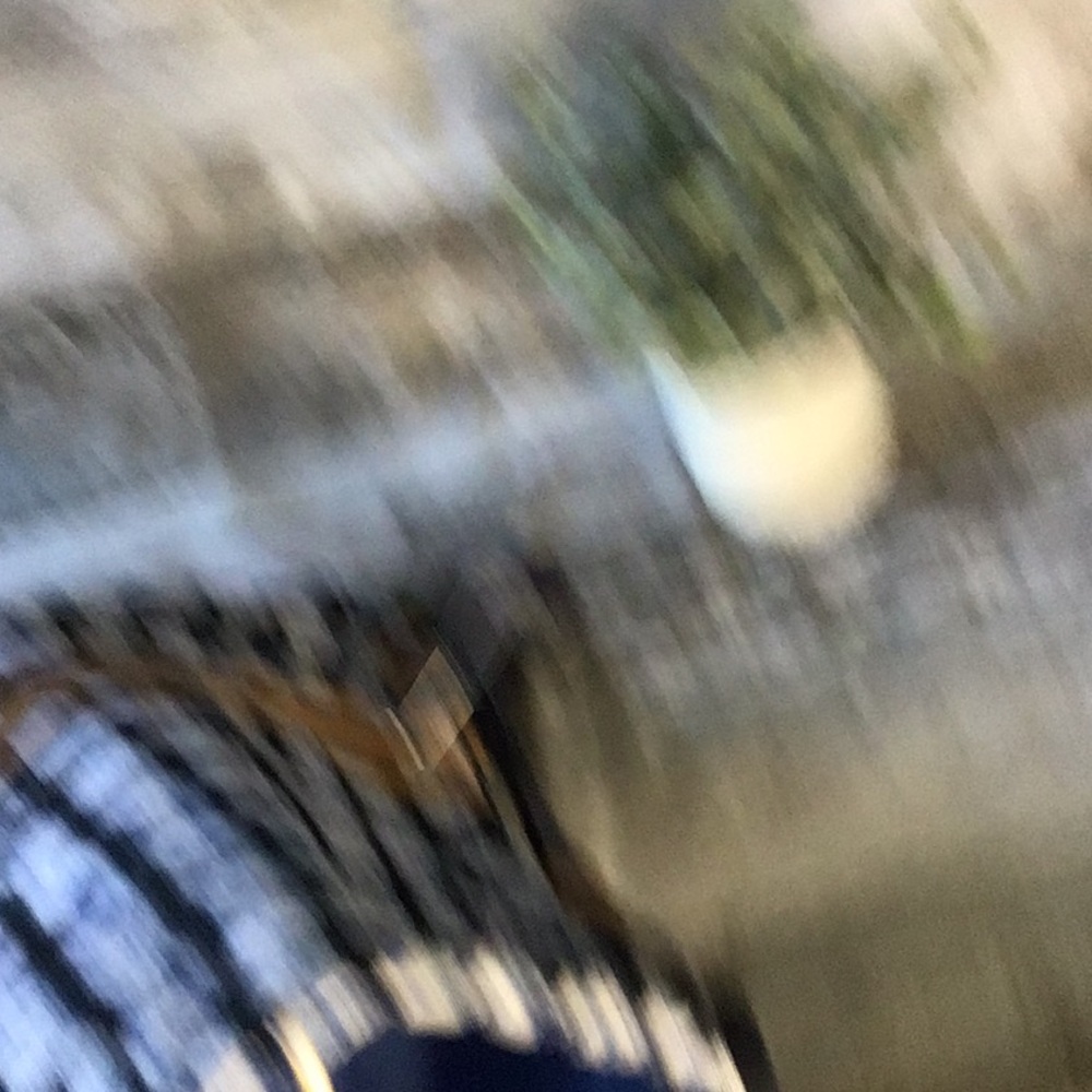 Vera Bradley Flat Backpack - Picture 4 of 9